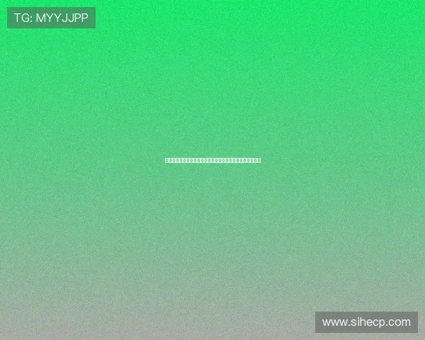 卡鲁索强势防守申京关键时刻送出惊艳封盖展现铁血防守风采