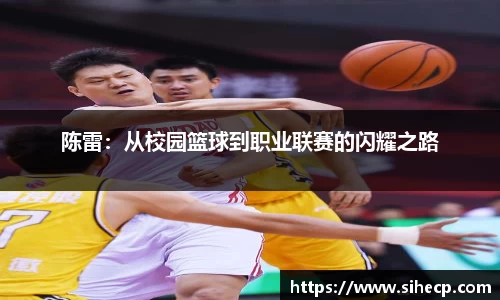 陈雷：从校园篮球到职业联赛的闪耀之路
